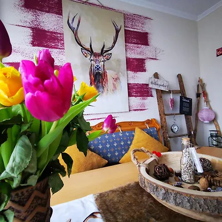 Zum Wohlfuehlen Und Mehr Apartment